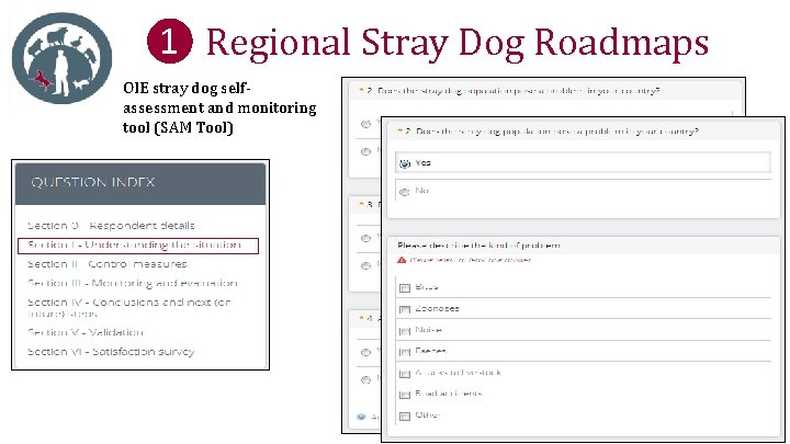 ❶ Regional Stray Dog Roadmaps OIE stray dog selfassessment and monitoring tool (SAM Tool)
