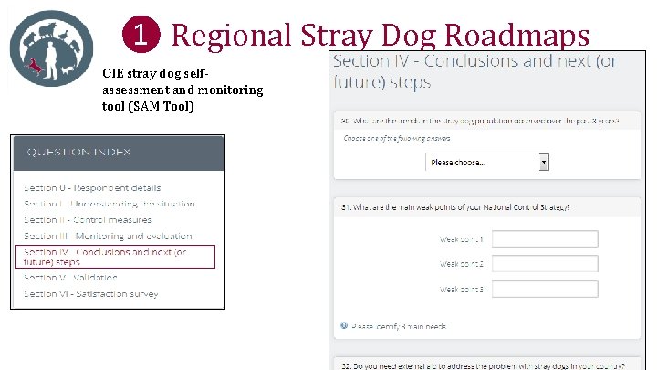 ❶ Regional Stray Dog Roadmaps OIE stray dog selfassessment and monitoring tool (SAM Tool)