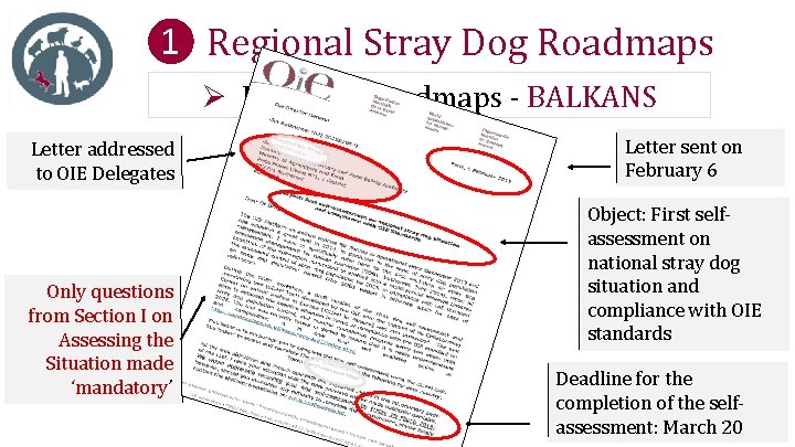 ❶ Regional Stray Dog Roadmaps Ø Regional Roadmaps - BALKANS Letter addressed to OIE