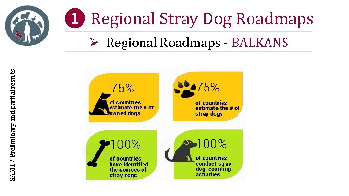 ❶ Regional Stray Dog Roadmaps SAM 1 / Preliminary and partial results Ø Regional
