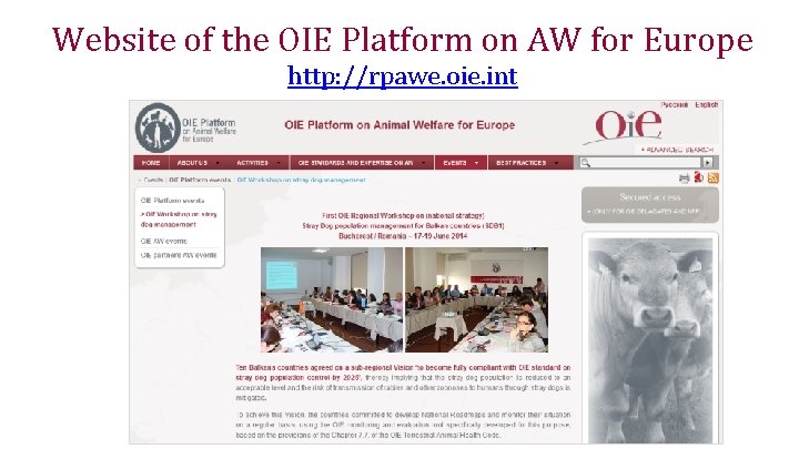 Website of the OIE Platform on AW for Europe http: //rpawe. oie. int 