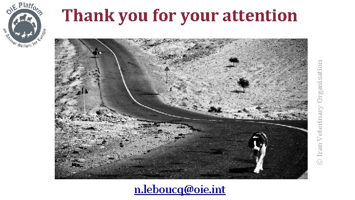 © Iran Veterinary Organisation Thank you for your attention n. leboucq@oie. int 