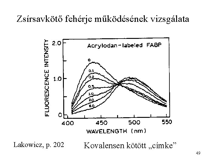 Zsírsavkötő fehérje működésének vizsgálata Lakowicz, p. 202 Kovalensen kötött „címke” 49 