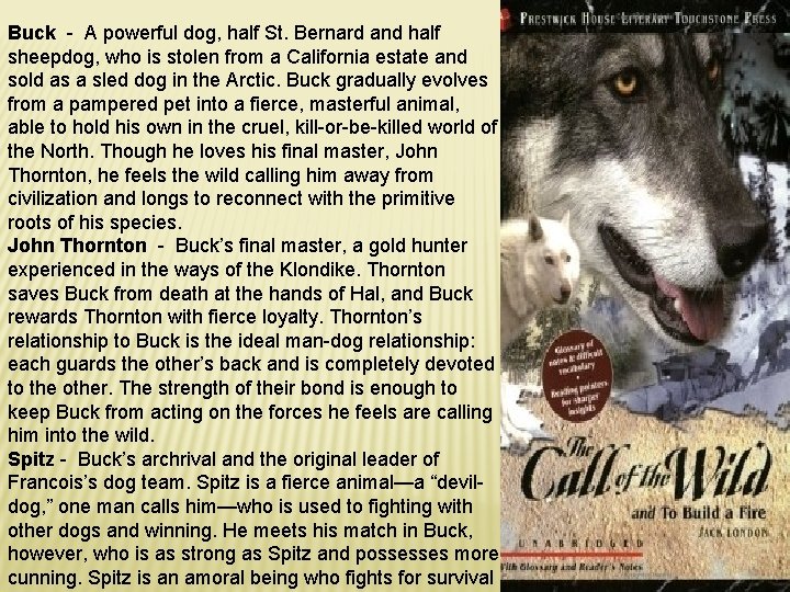 Buck - A powerful dog, half St. Bernard and half sheepdog, who is stolen