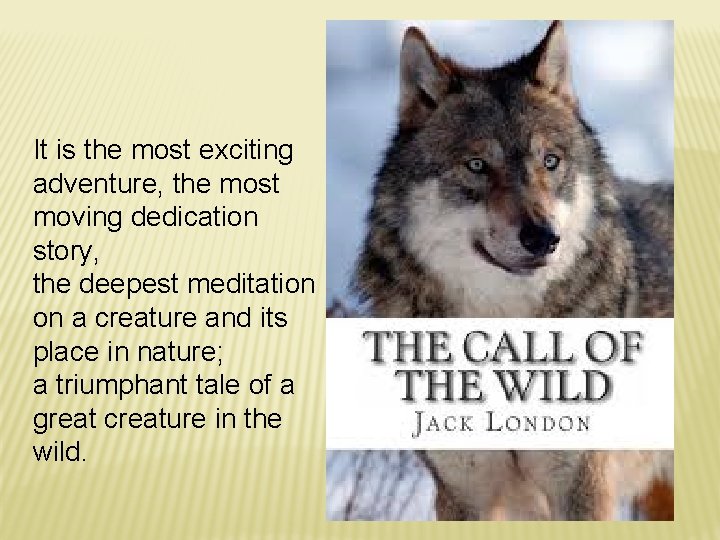 It is the most exciting adventure, the most moving dedication story, the deepest meditation