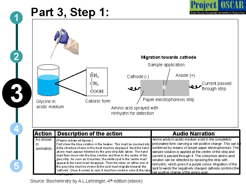 Part 3, Step 1: 1 2 Migration towards cathode Sample application Anode (+) Cathode