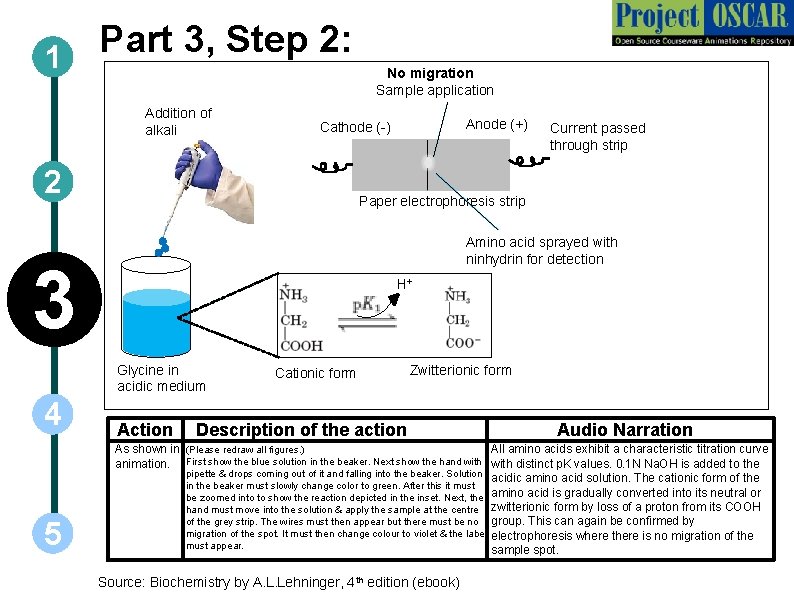 Part 3, Step 2: 1 Addition of alkali Current passed through strip Paper electrophoresis