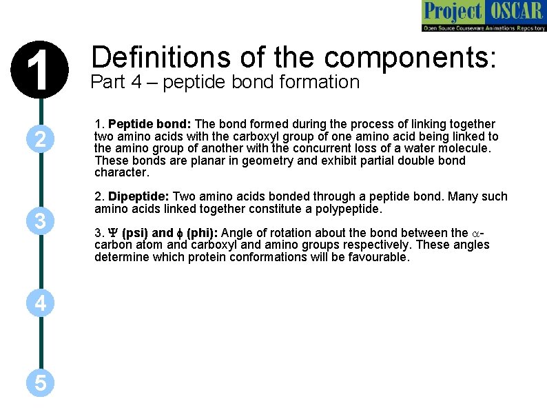 1 2 3 4 5 Definitions of the components: Part 4 – peptide bond