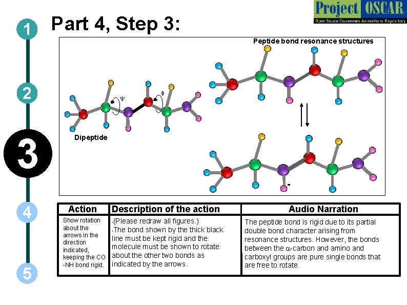 1 Part 4, Step 3: Peptide bond resonance structures 2 3 Y f Dipeptide