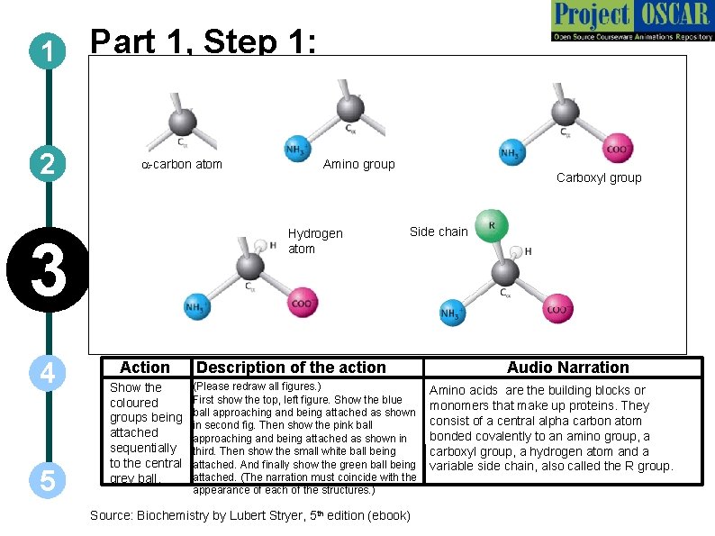 1 2 Part 1, Step 1: a-carbon atom Hydrogen atom 3 4 5 Amino