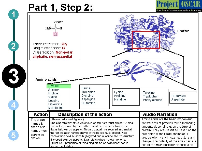1 Part 1, Step 2: Protein 2 3 Three letter code: Gly Single letter