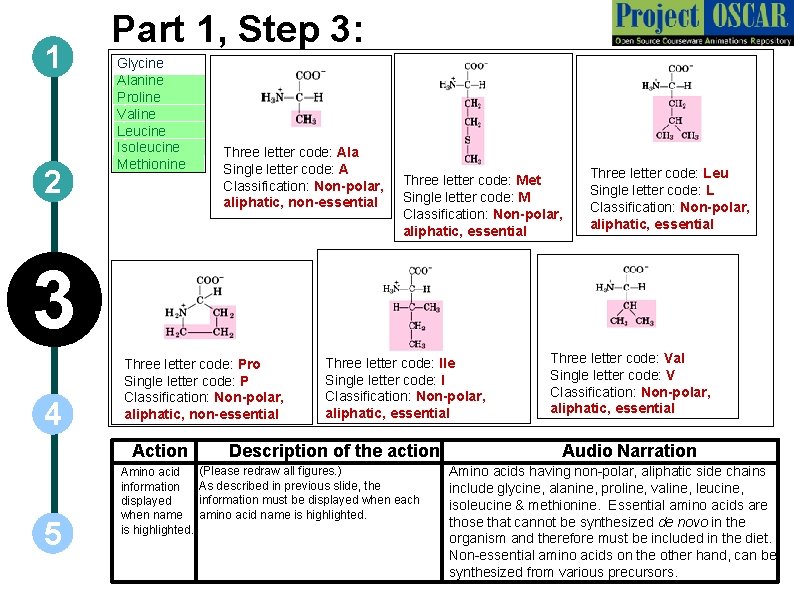1 2 Part 1, Step 3: Glycine Alanine ` ` Proline ` Valine `