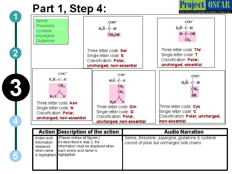 1 Part 1, Step 4: ` Serine Threonine ` Cysteine ` Aspargine ` Glutamine
