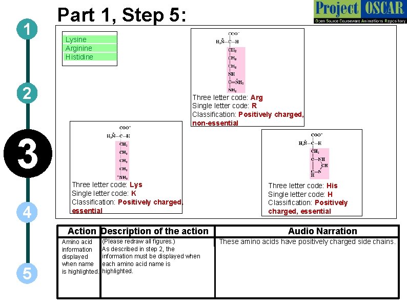 1 Part 1, Step 5: ` Lysine ` Arginine ` Histidine 2 Three letter