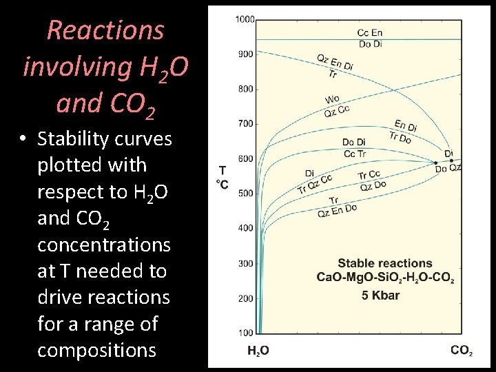 Reactions involving H 2 O and CO 2 • Stability curves plotted with respect