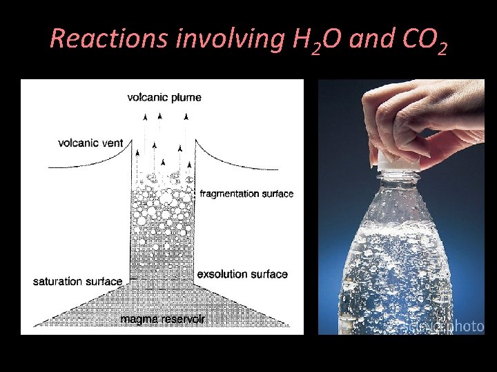 Reactions involving H 2 O and CO 2 