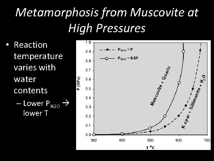 Metamorphosis from Muscovite at High Pressures • Reaction temperature varies with water contents –