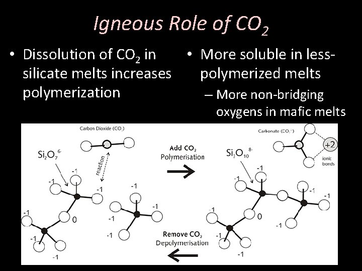 Igneous Role of CO 2 • More soluble in less • Dissolution of CO