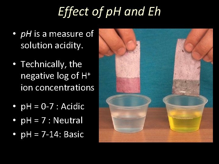 Effect of p. H and Eh • p. H is a measure of solution