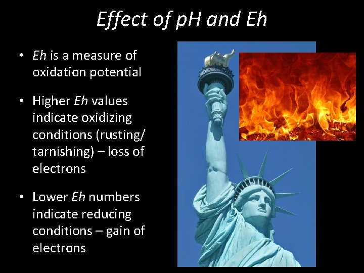 Effect of p. H and Eh • Eh is a measure of oxidation potential