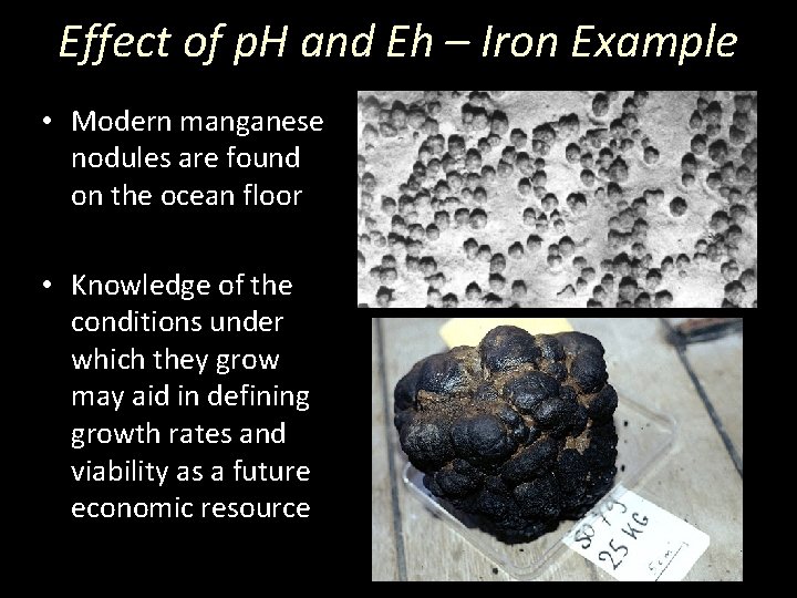 Effect of p. H and Eh – Iron Example • Modern manganese nodules are