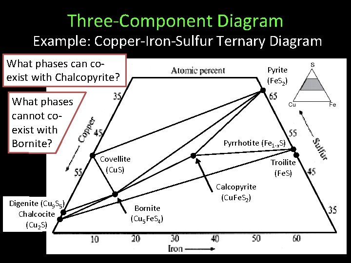 Three-Component Diagram Example: Copper-Iron-Sulfur Ternary Diagram What phases can coexist with Chalcopyrite? Pyrite (Fe.