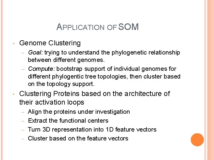 APPLICATION OF SOM • Genome Clustering Goal: trying to understand the phylogenetic relationship between