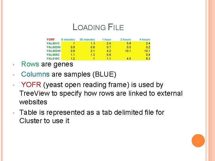 LOADING FILE • • Rows are genes Columns are samples (BLUE) YOFR (yeast open