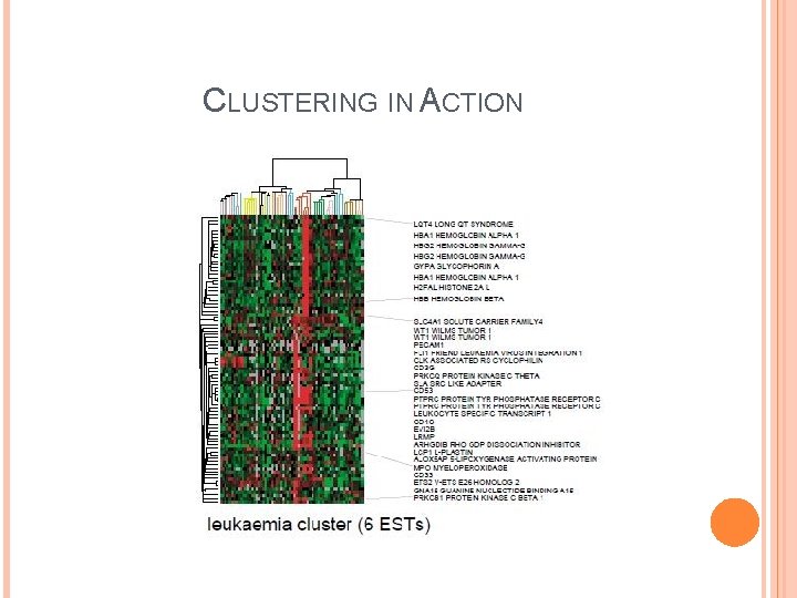 CLUSTERING IN ACTION 