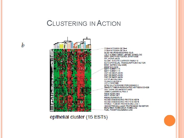 CLUSTERING IN ACTION 