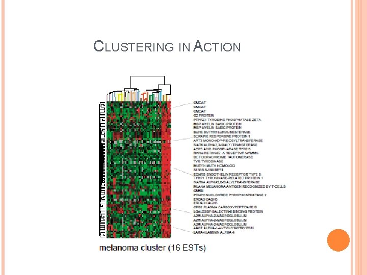 CLUSTERING IN ACTION 