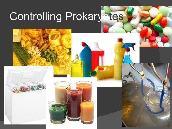 Controlling Prokaryotes 