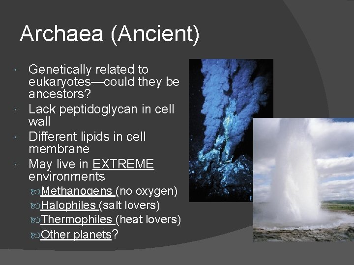 Archaea (Ancient) Genetically related to eukaryotes—could they be ancestors? Lack peptidoglycan in cell wall