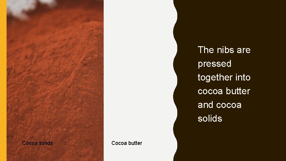 The nibs are pressed together into cocoa butter and cocoa solids Cocoa butter 