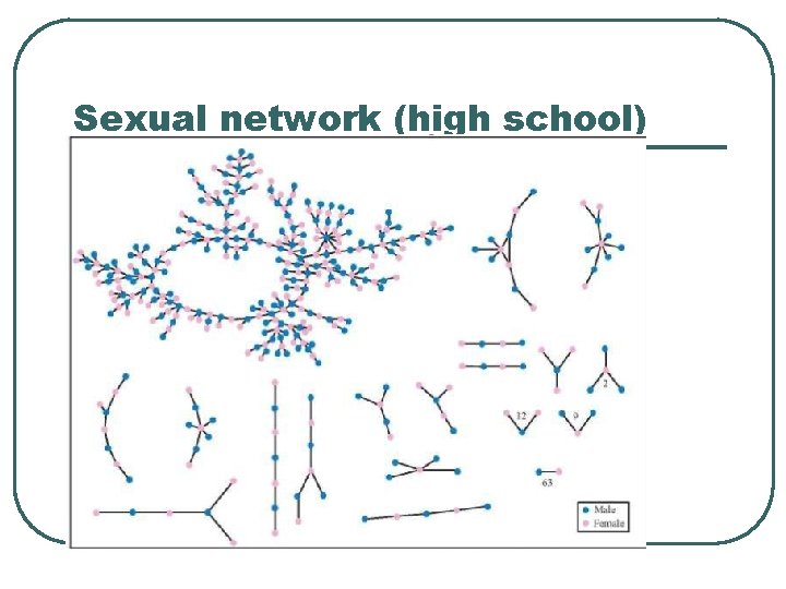 Sexual network (high school) 