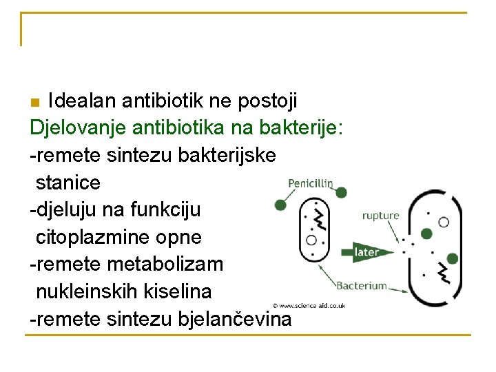 Idealan antibiotik ne postoji Djelovanje antibiotika na bakterije: -remete sintezu bakterijske stanice -djeluju na