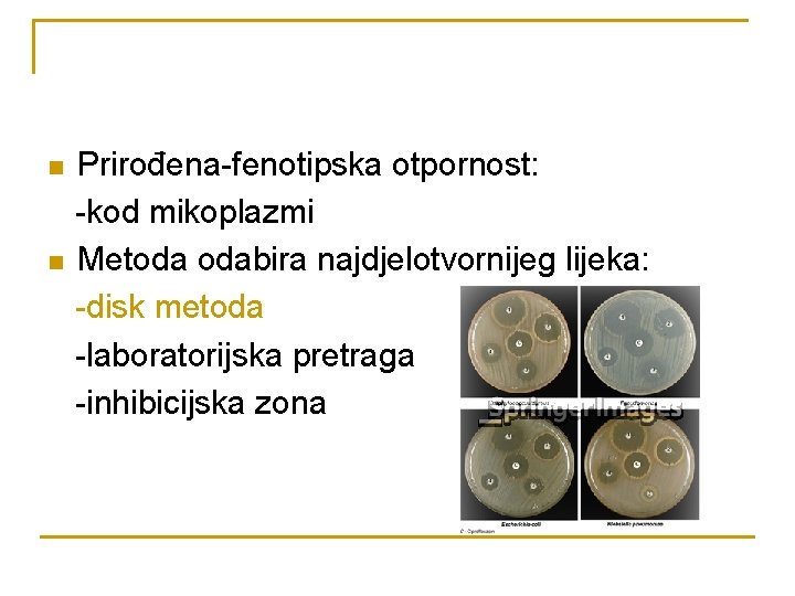 n n Prirođena-fenotipska otpornost: -kod mikoplazmi Metoda odabira najdjelotvornijeg lijeka: -disk metoda -laboratorijska pretraga