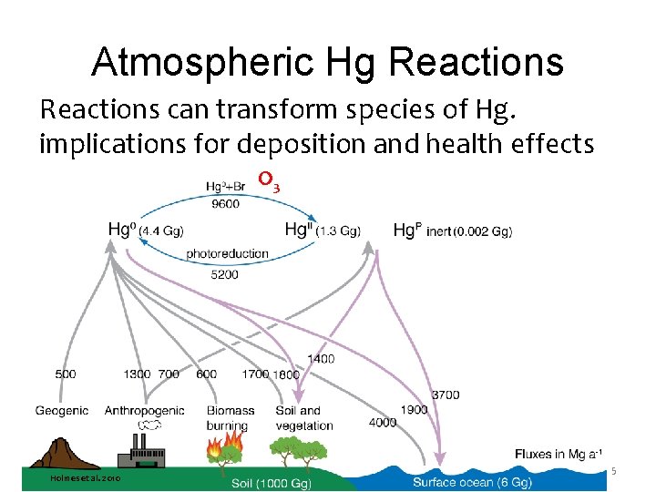 Atmospheric Hg Reactions can transform species of Hg. implications for deposition and health effects