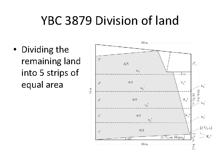 YBC 3879 Division of land • Dividing the remaining land into 5 strips of