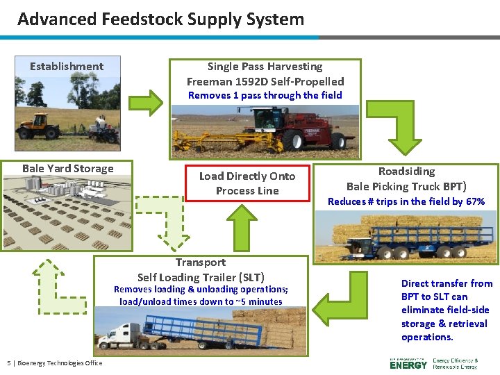 Advanced Feedstock Supply System Establishment Single Pass Harvesting Freeman 1592 D Self-Propelled Removes 1