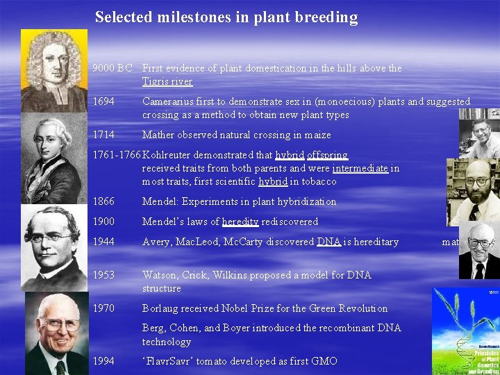 Selected milestones in plant breeding 9000 BC First evidence of plant domestication in the