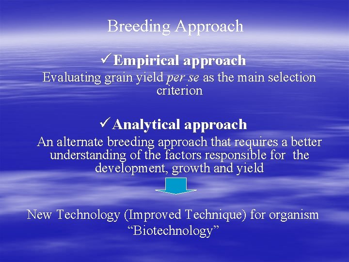 Breeding Approach ü Empirical approach Evaluating grain yield per se as the main selection