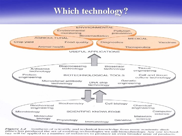 Which technology? 