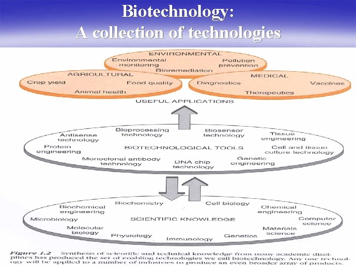 Biotechnology: A collection of technologies 