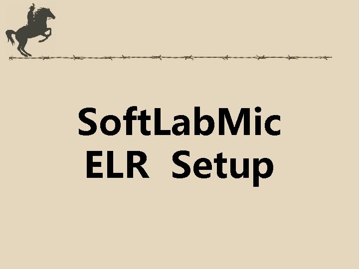 Soft. Lab. Mic ELR Setup 