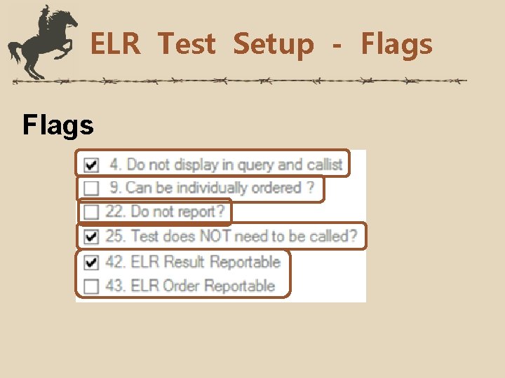 ELR Test Setup - Flags 