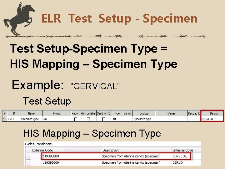 ELR Test Setup - Specimen Test Setup-Specimen Type = HIS Mapping – Specimen Type