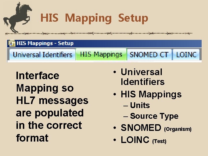 HIS Mapping Setup Interface Mapping so HL 7 messages are populated in the correct