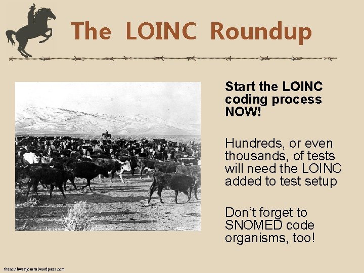 The LOINC Roundup Start the LOINC coding process NOW! Hundreds, or even thousands, of