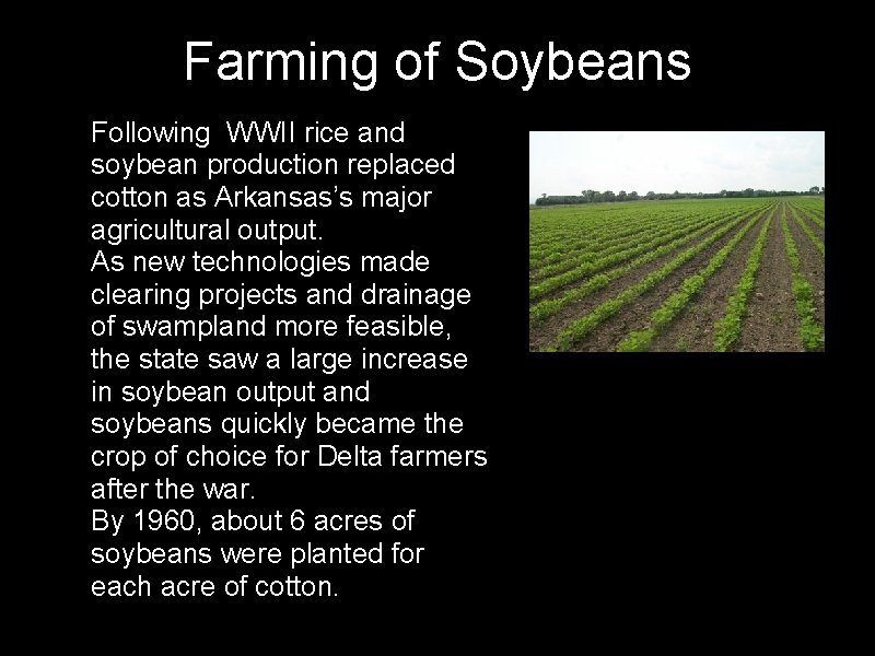 Farming of Soybeans • Following WWII rice and soybean production replaced cotton as Arkansas’s